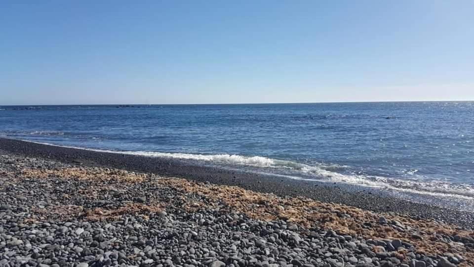 Rosas By Villas Rinamar Las Rosas  Екстериор снимка